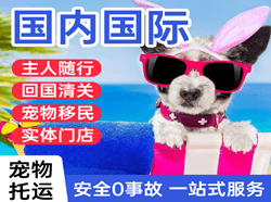 常州奔牛航空空运国际宠物托运 【国